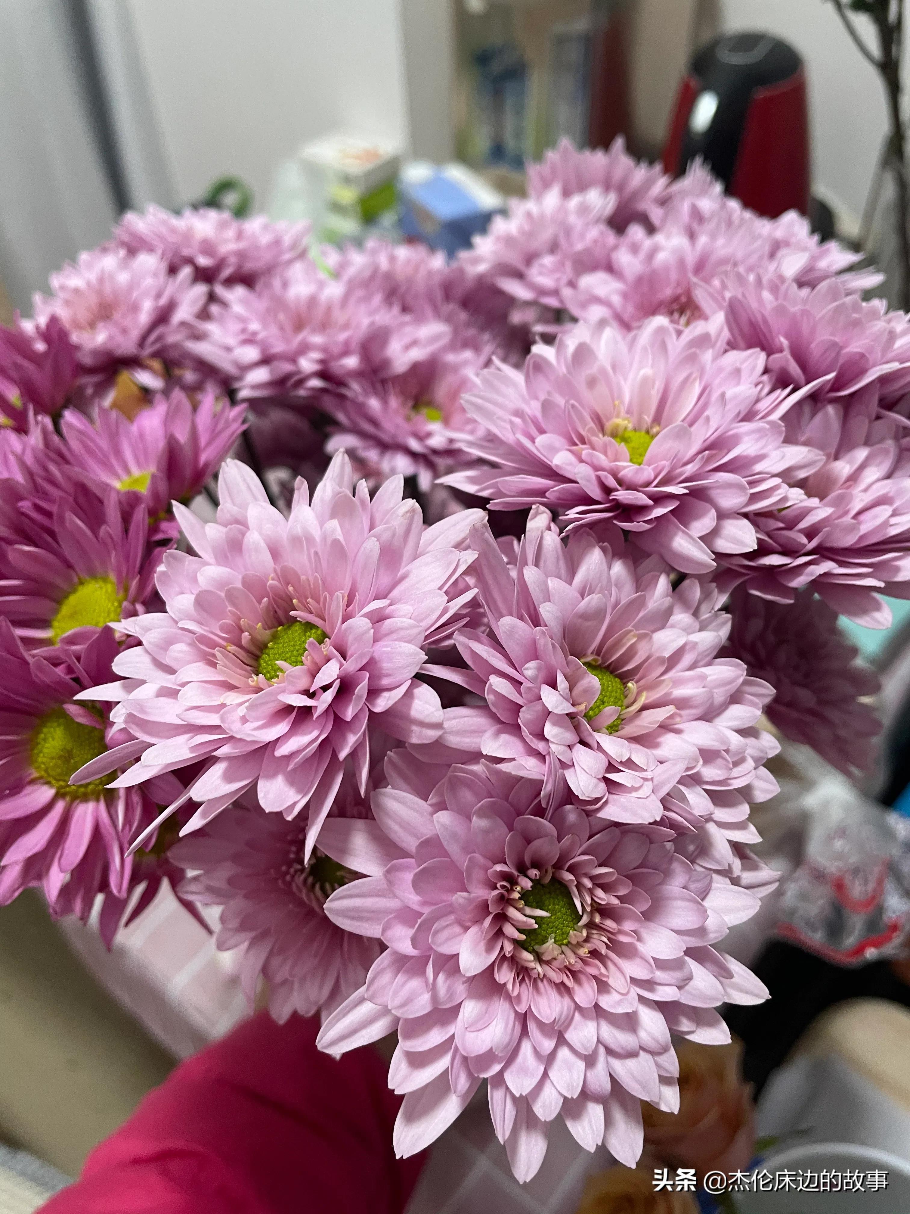 网上鲜切花怎么养护,最耐养的鲜切花