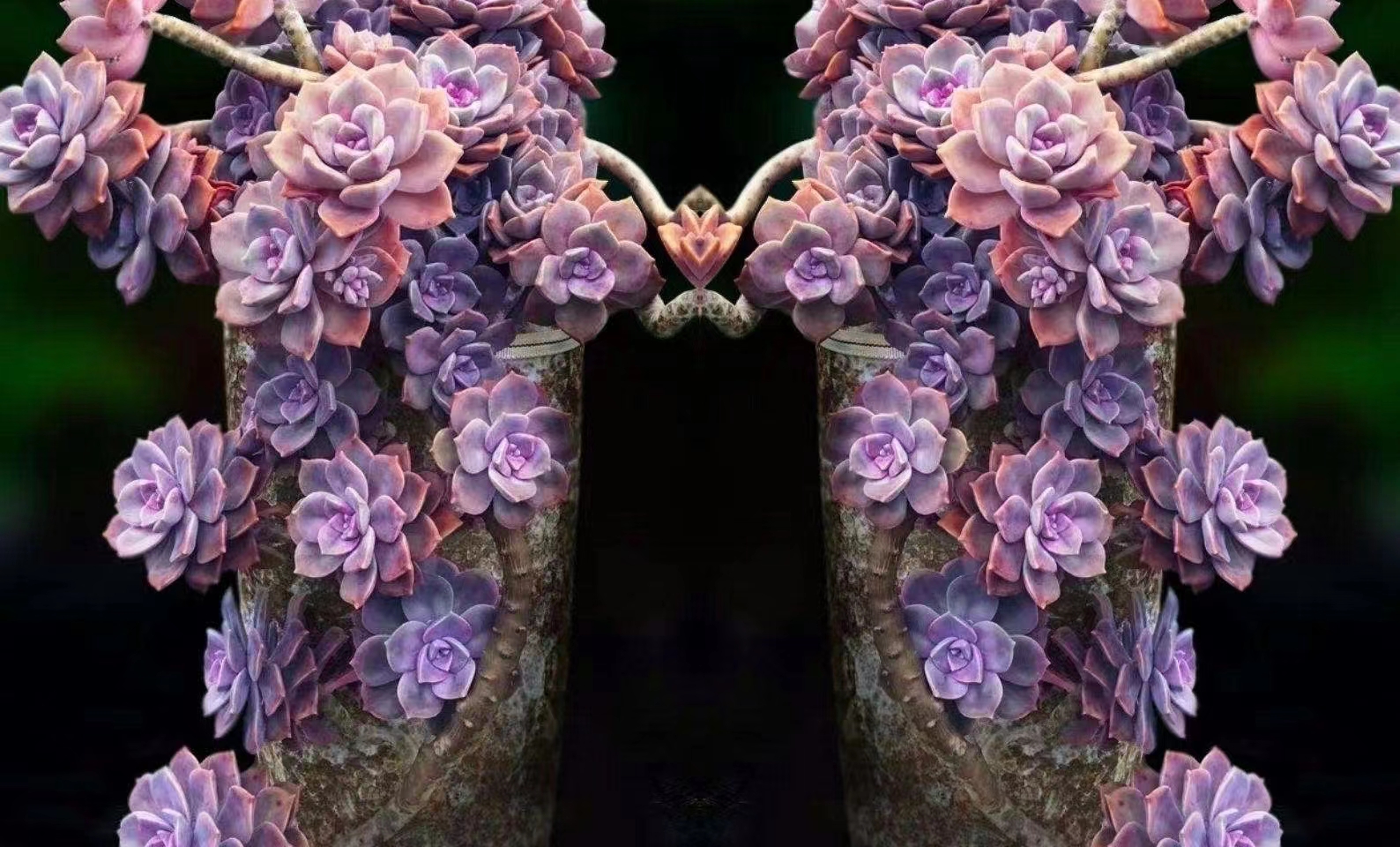 拼图技巧讲解300片,拼图技巧讲解1000片背面不带字