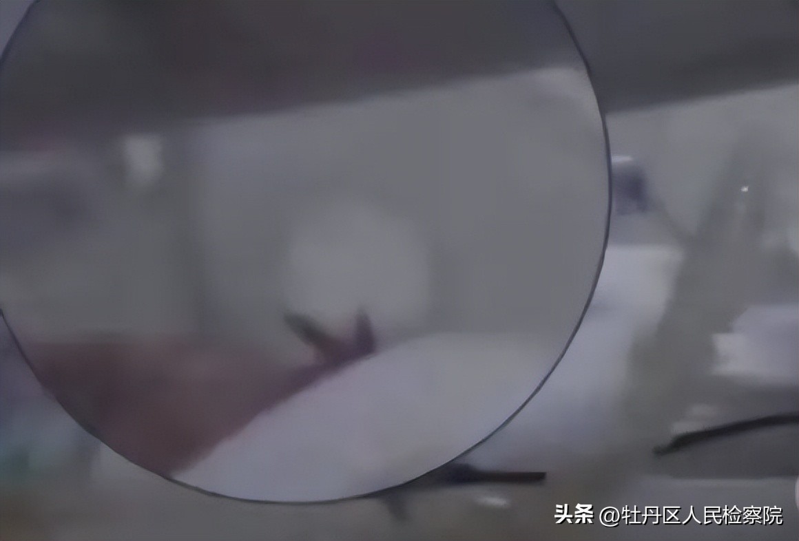 生命接力救援完整视频,生命接力洪水中救出百名病人