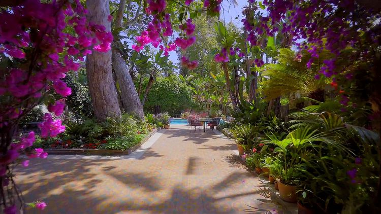 回味旧金山探访成功者的庄园,一种窗口令艾尔卡彭等囚犯备受折磨