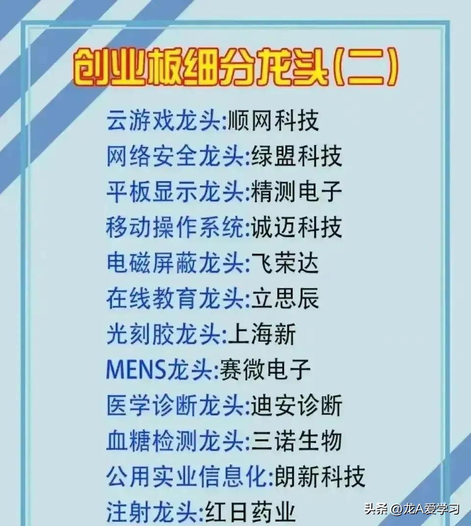 创业板块龙头排名,2023年行业龙头公司最全名单