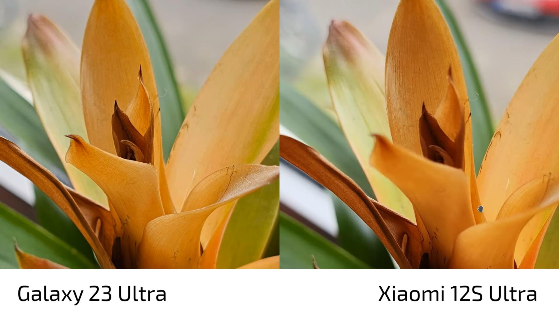 小米12spro拍照对比三星s23,小米12sultra对比三星s23ultra