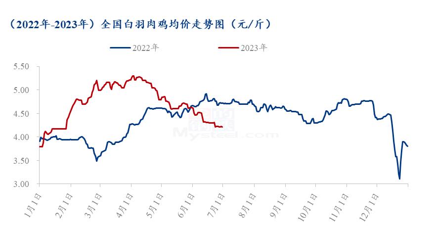 2023白羽肉鸡今后行情分析,白羽肉鸡市场分析