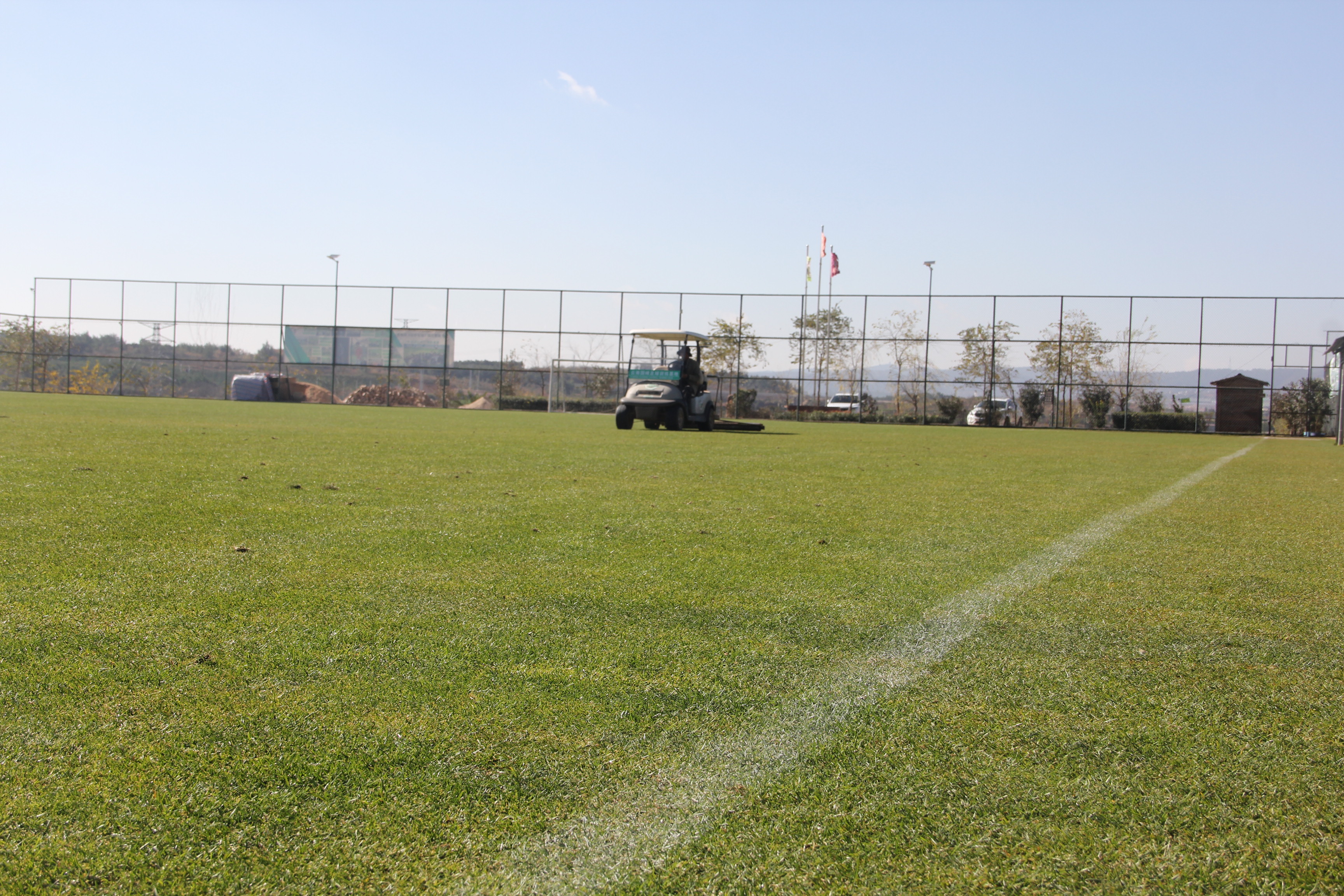 足球夏令营有哪些活动,足球为主题的夏令营