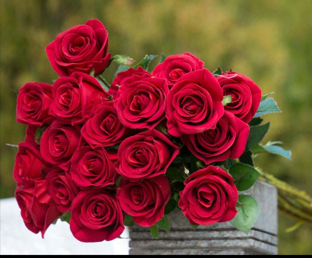 100种常见花花语及图片,各个花的花语大全及图片