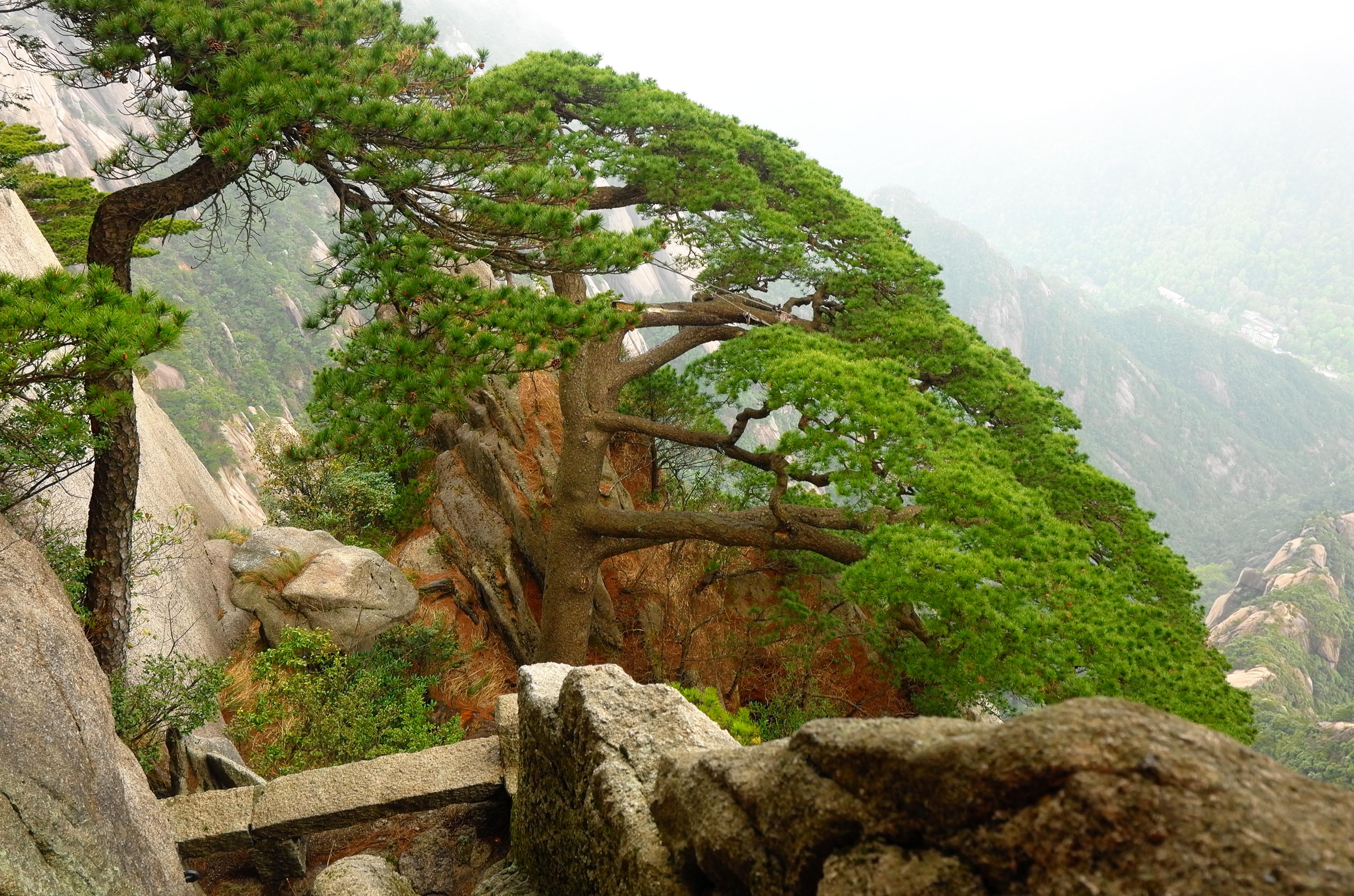 黄山慈光阁到玉屏楼步行多久,爬黄山从慈光阁开始的攻略