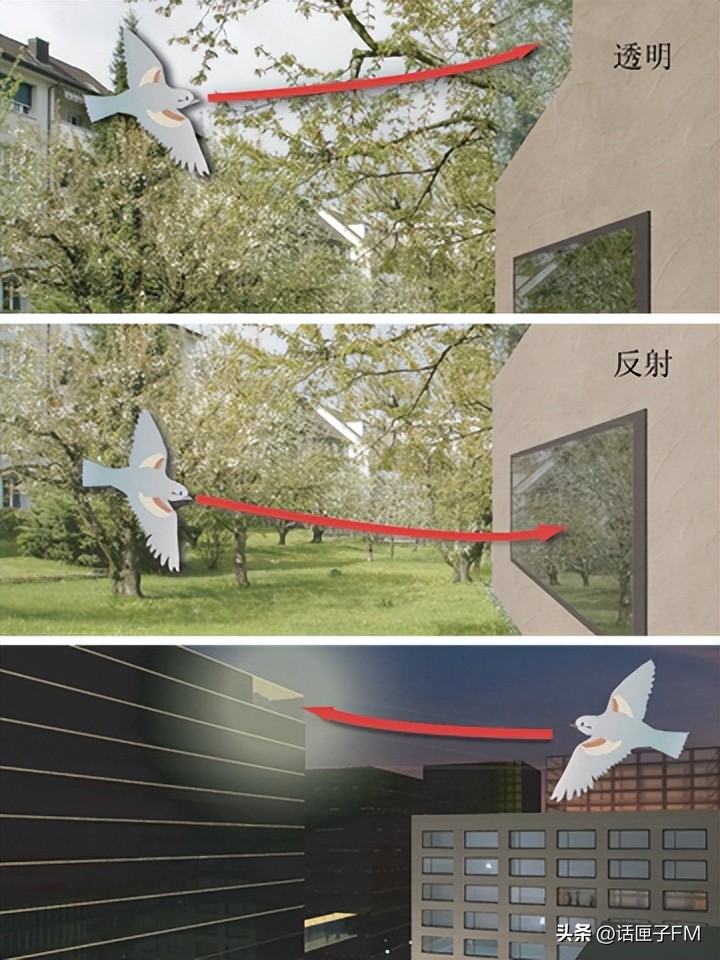 这种花花绿绿的贴纸在上海流行，警示对象不是人类？