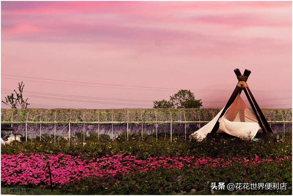 浙江湖州:景美人善不宰客,很多人都忽略了它