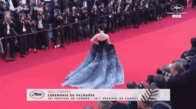 范冰冰为什么可以出现在戛纳红毯,范冰冰在戛纳让人吐槽的是什么