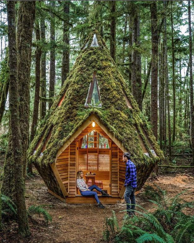 两位情侣在森林中搭个帐篷,一对情侣在大山深处打造的家