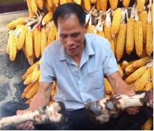 老杨啊：“黑暗料理”狗看了都摇头，却成为全网女人最想嫁的男人