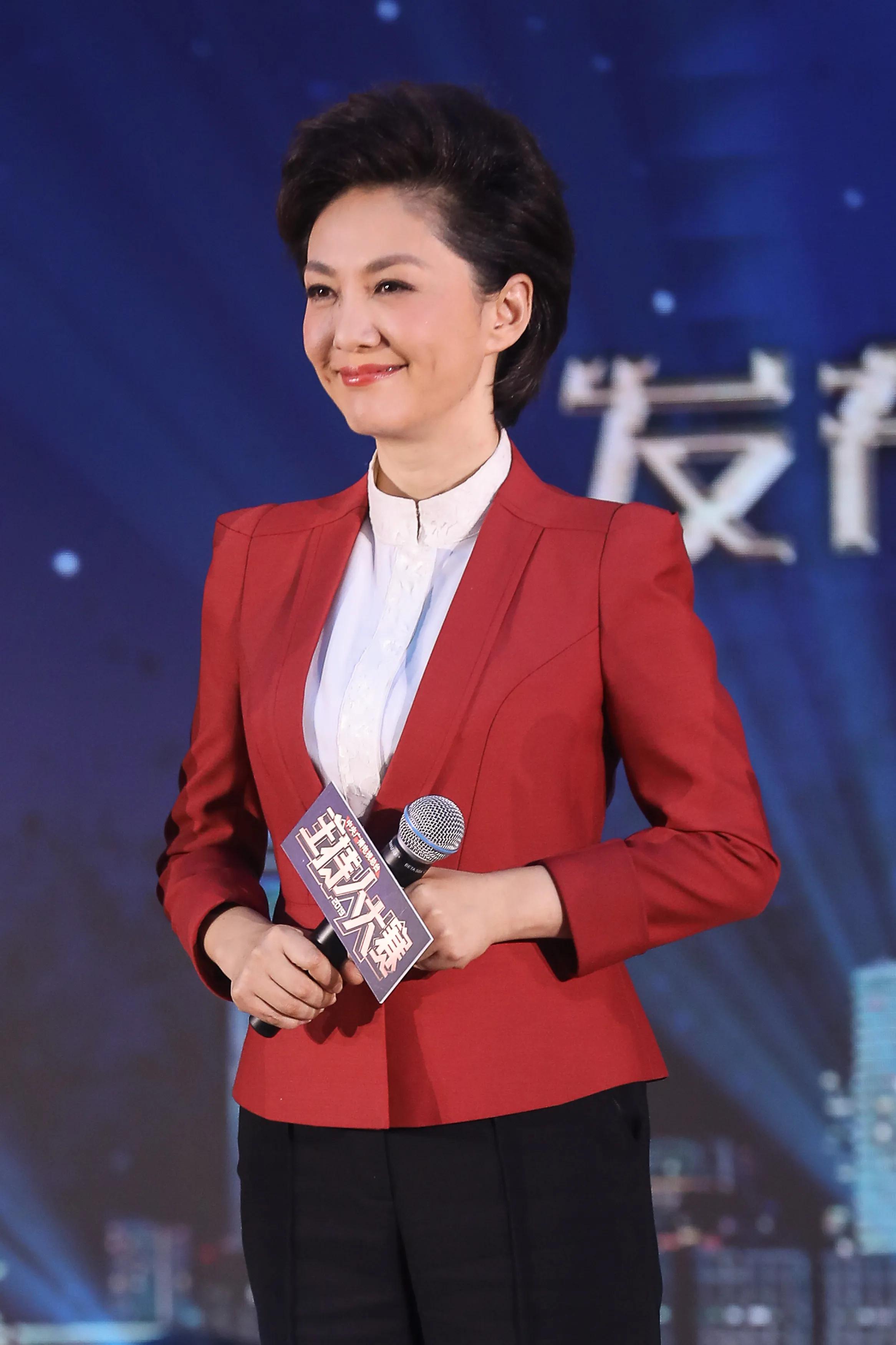 央视新闻联播女主持人海霞,央视主持人海霞气质照片