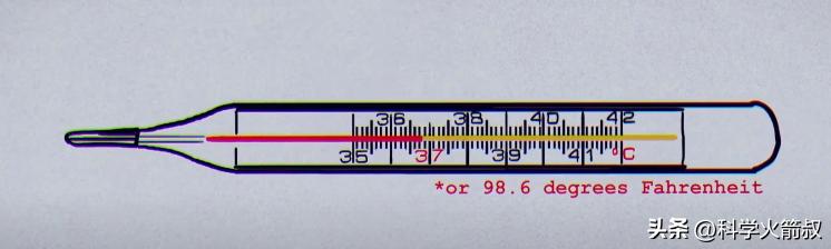 为什么我们会发烧,我们为什么会发烧