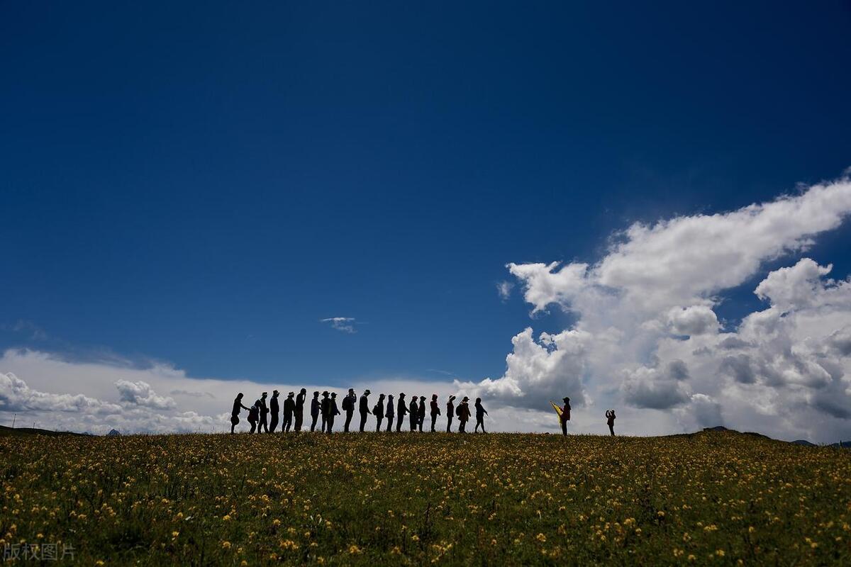 【论文学习】政府部门间协作的影响因素及其组织逻辑