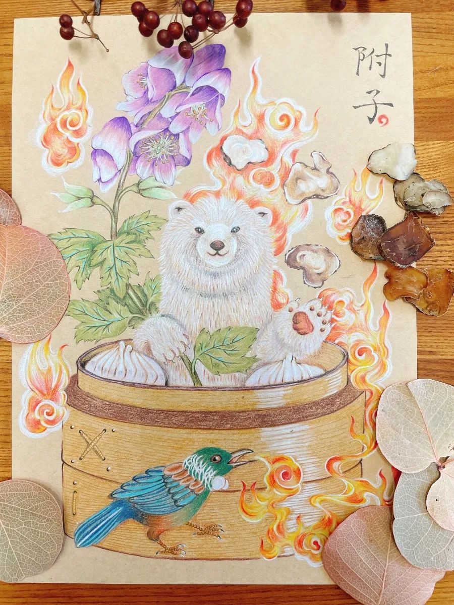 美翻了！在台湾中医师笔下，中药化为疗愈插画