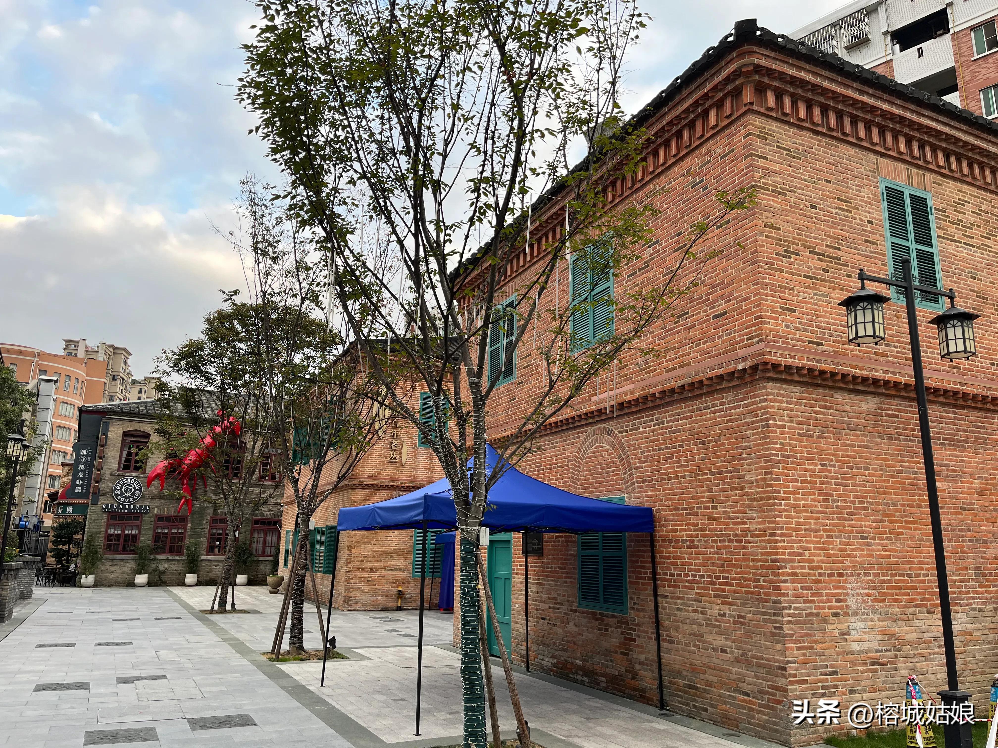 茶港历程,东方茶港历史