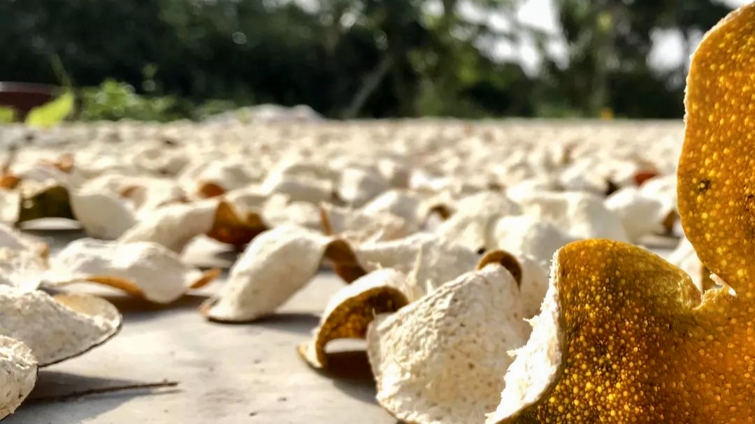 陈皮就是晒干的橘子皮？详解剧中高启强爱喝的陈皮茶