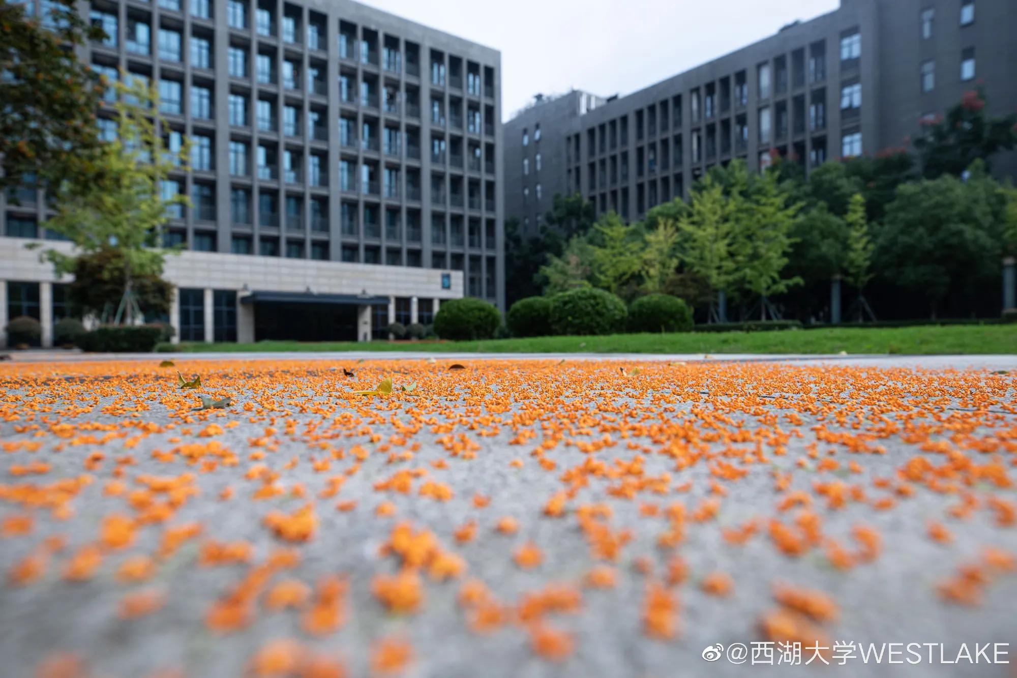 西湖大学招收60名本科生条件,和西湖大学类似的大学