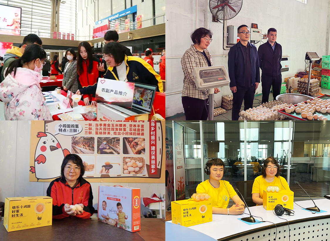 自动化在乡村振兴中的建议,乡村振兴科技人员献智献力