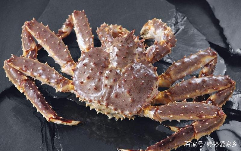 帝王蟹泛滥成灾入侵南极,巨型帝王蟹入侵