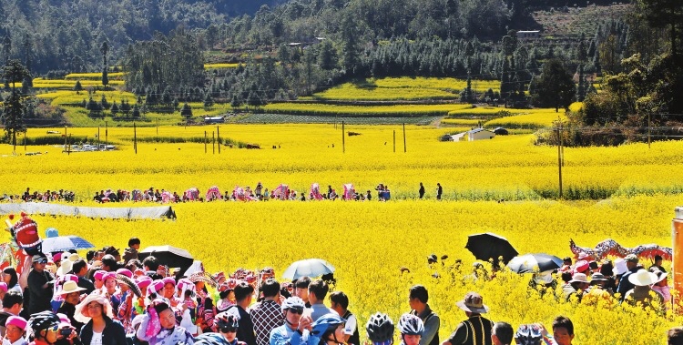 2022年春节云南免费景区,云南春节最合适的景点是哪些