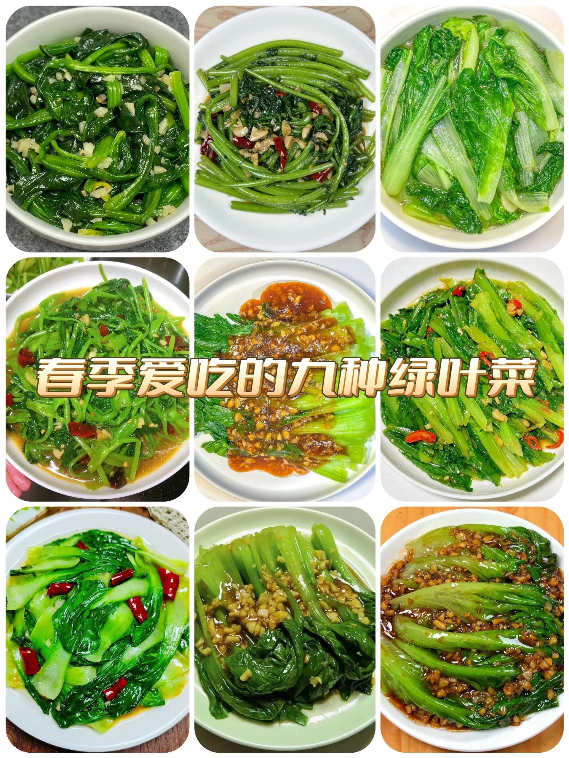 绿叶菜怎么吃最有营养,春季绿叶菜有哪些