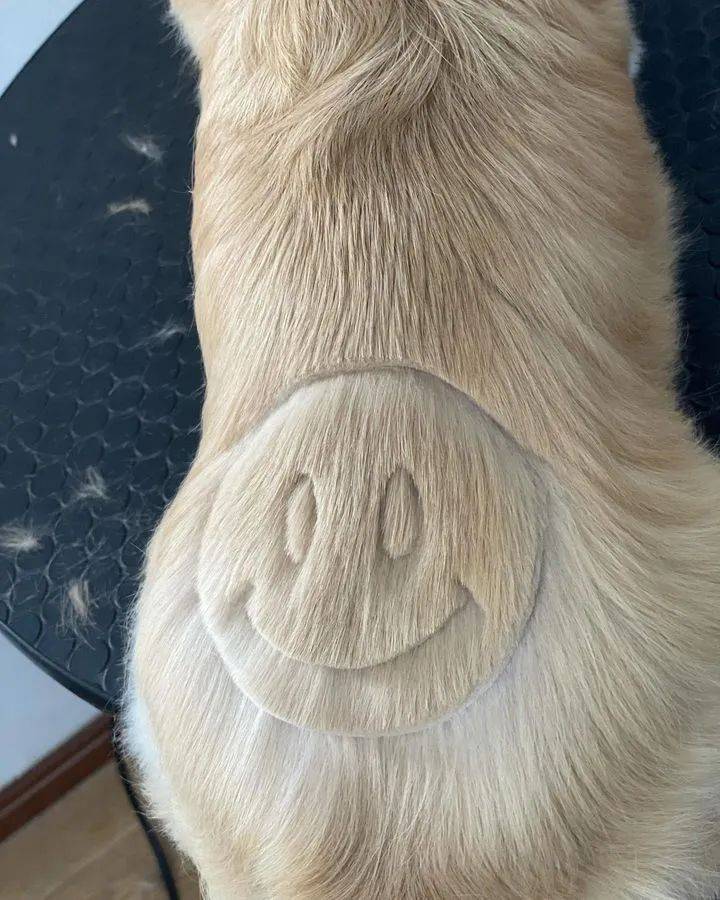 狗子剪出发射爱心的小屁屁