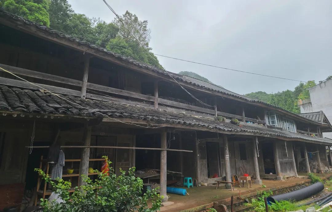 抗日黄埔军校分校,黄埔军校第一批学生抗日