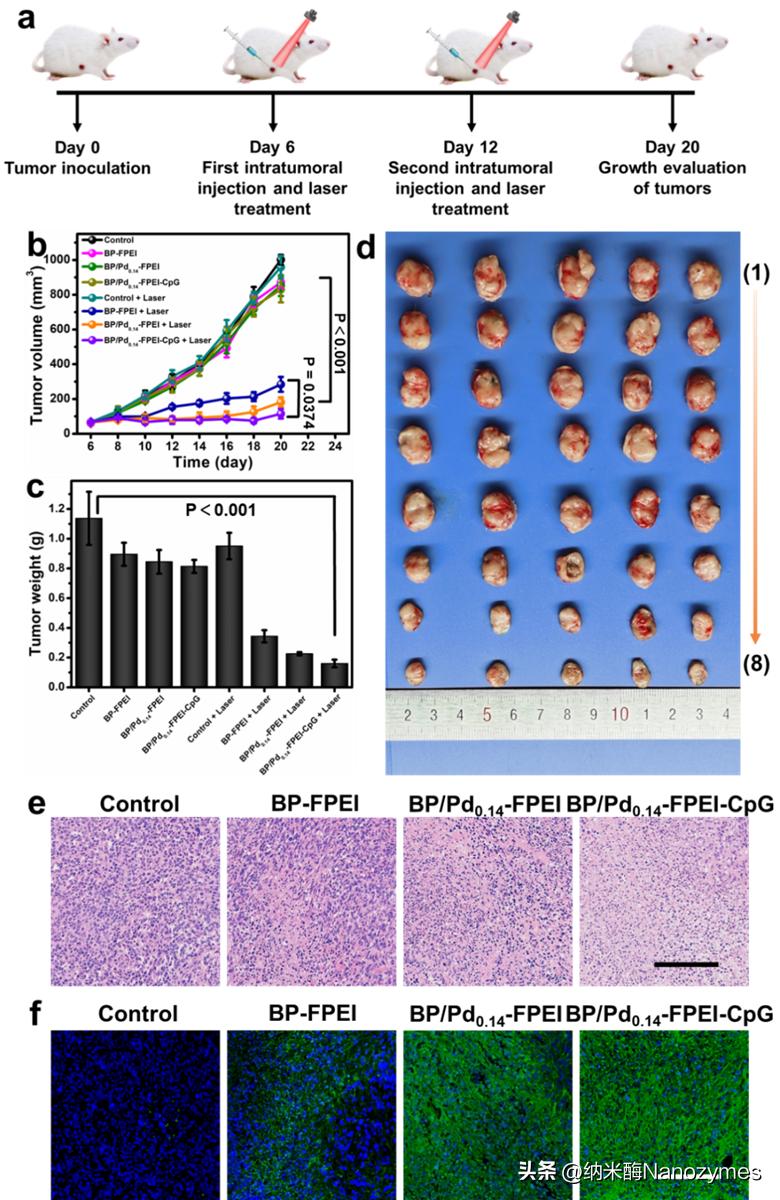 nanotoday,nanotoday好吗