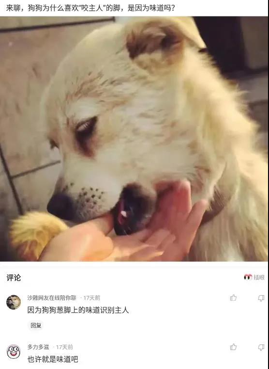 买了一个蚊帐先让室友试试,新买的蚊帐让室友先试试