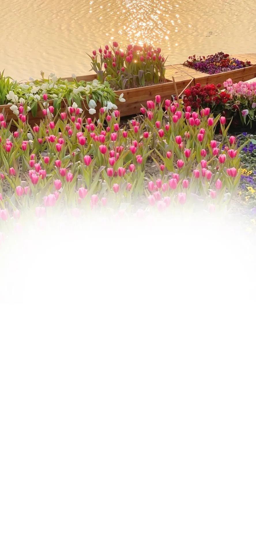 佛意境背景壁纸,微信聊天背景意境