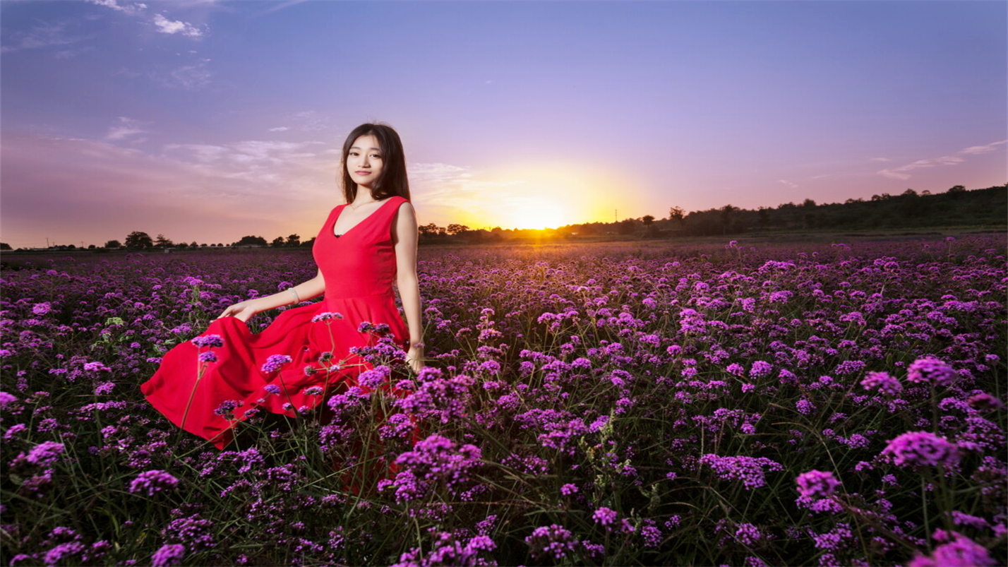 时光一逝永不回往事只能回味对唱,时光一逝永不回往事只能回味