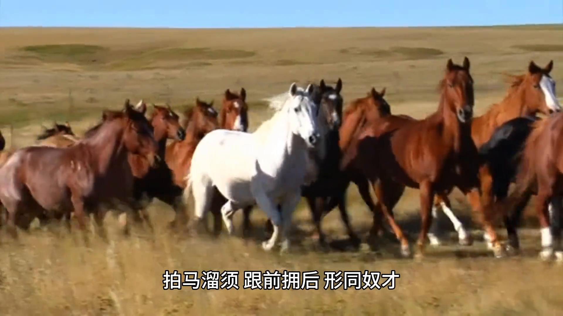 把下属当成兄弟,把下属当兄弟