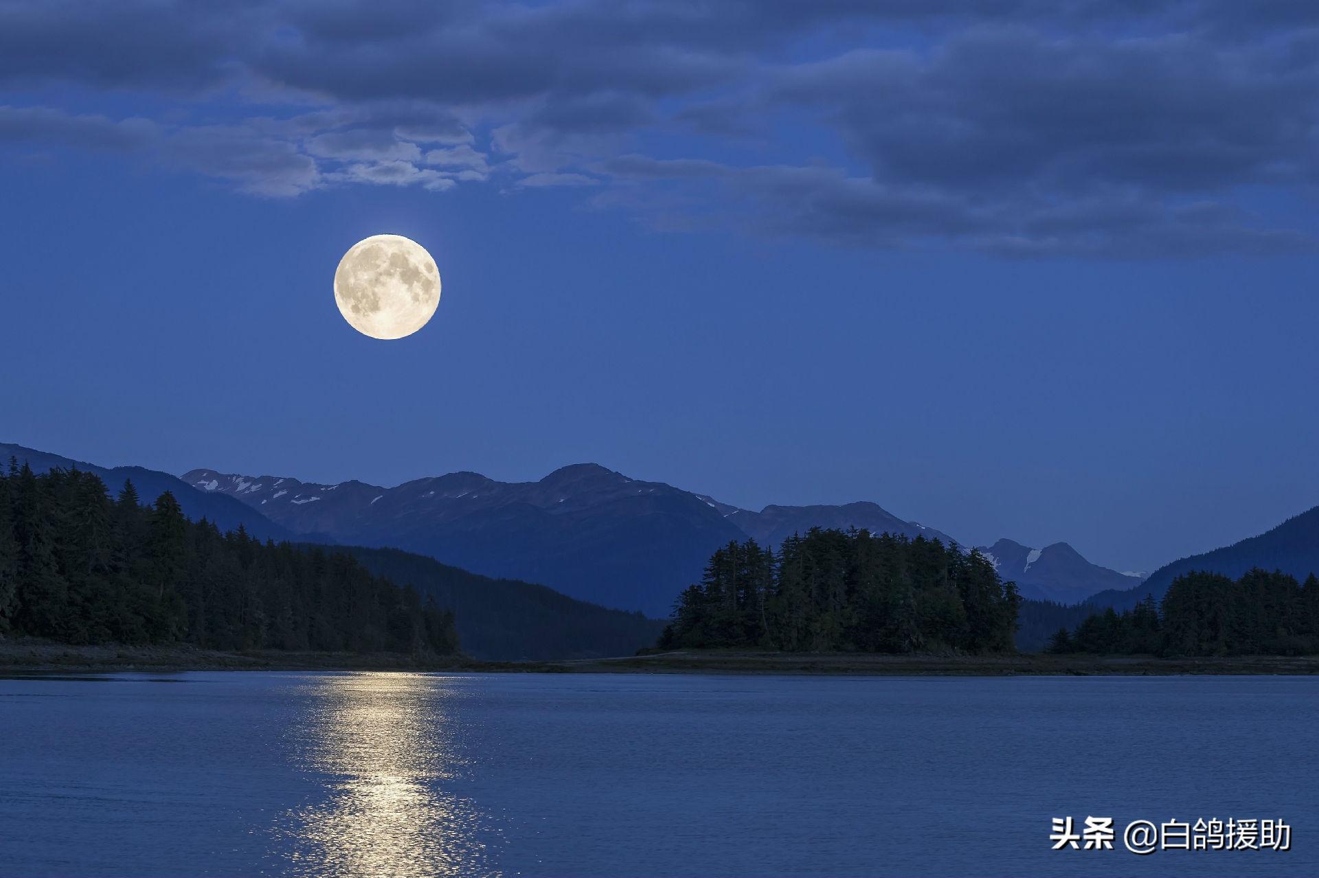 投资外汇被骗怎么维权,投资外汇被骗怎么办