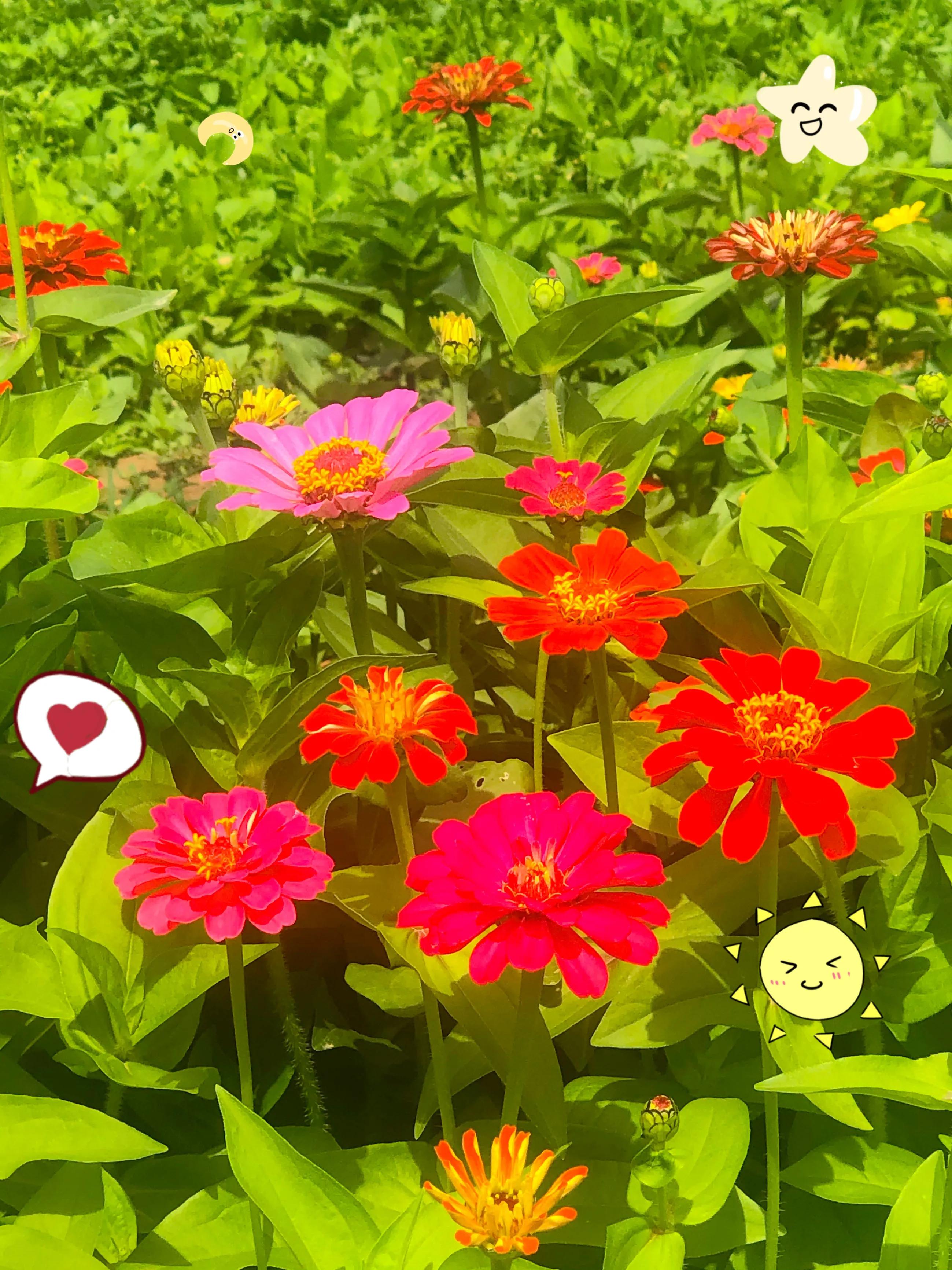 生活的极致就是化繁为简,极简是一种生活态度越简单越精致