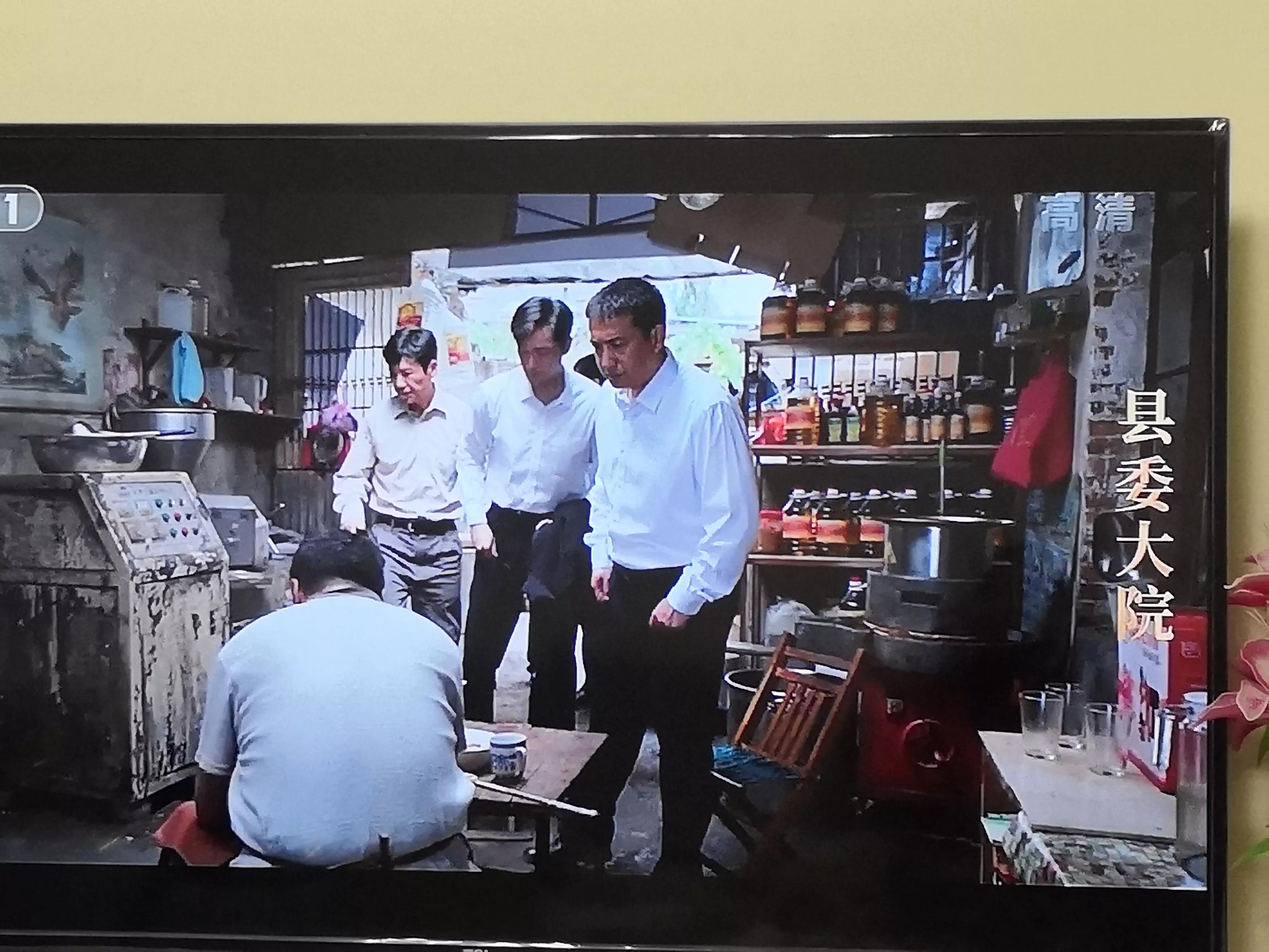 县委大院央视一套,县委大院央视网