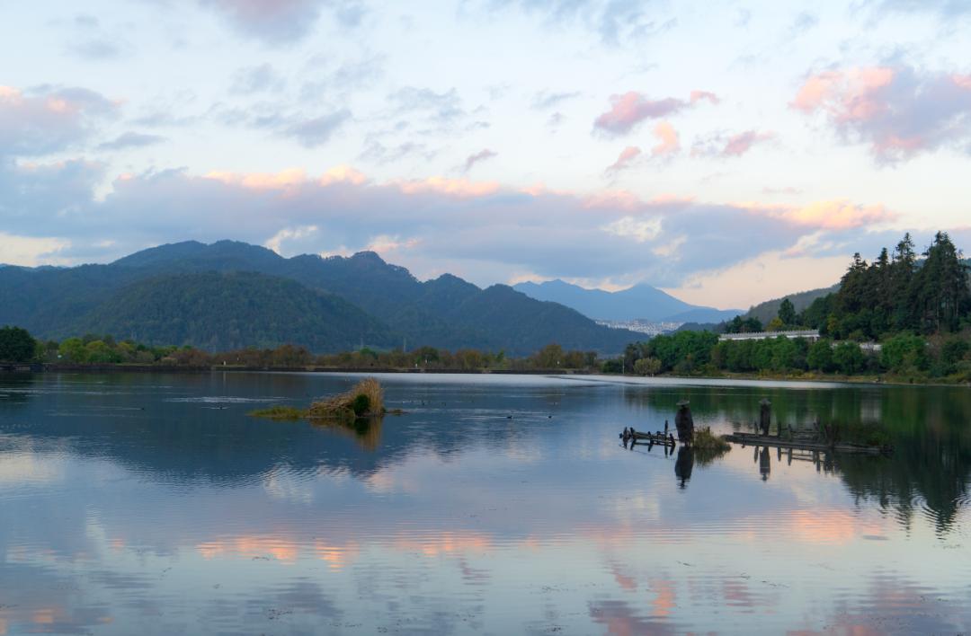 银杏谷泡温泉的地方,广东冬天赏银杏泡温泉