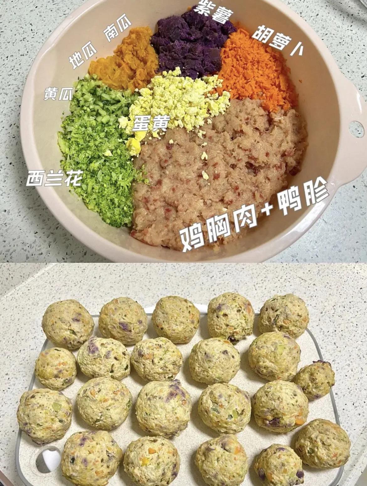 疫情期间的宠物用品,宠物生病常备药有哪些呢