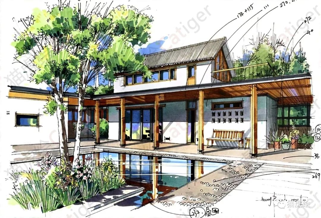 2022猫虎绘暑假手绘班招生简章「线上+线下」