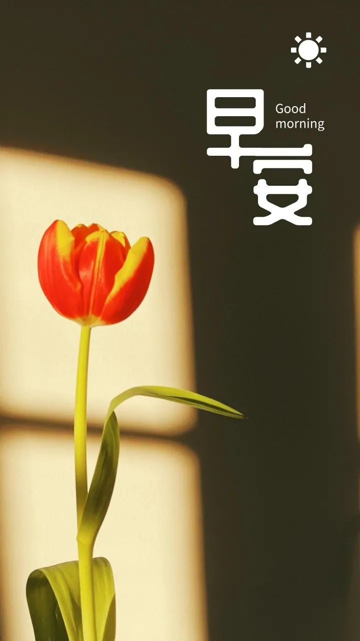 早安语录正能量朋友圈关于梦想,有梦想励志早安语句带图片