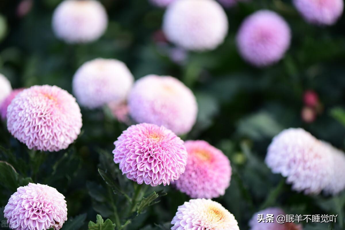 过度在意别人对自己的在乎,别总在意别人的感受而委屈了自己