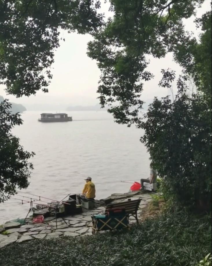 杭州西湖钓起大鱼,在西湖钓鱼技巧