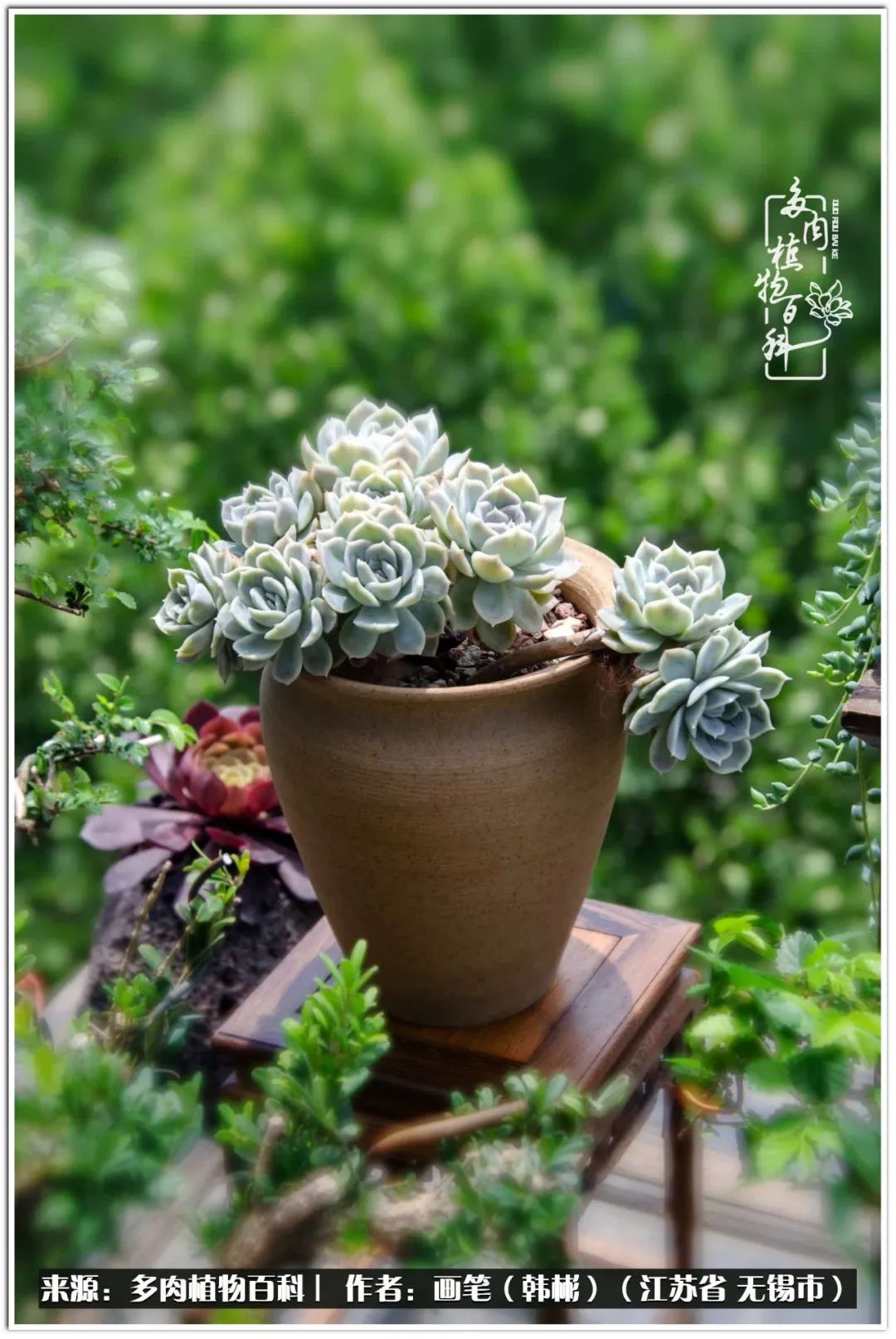 每个人的身旁都要有太阳,每个人都有一颗太阳