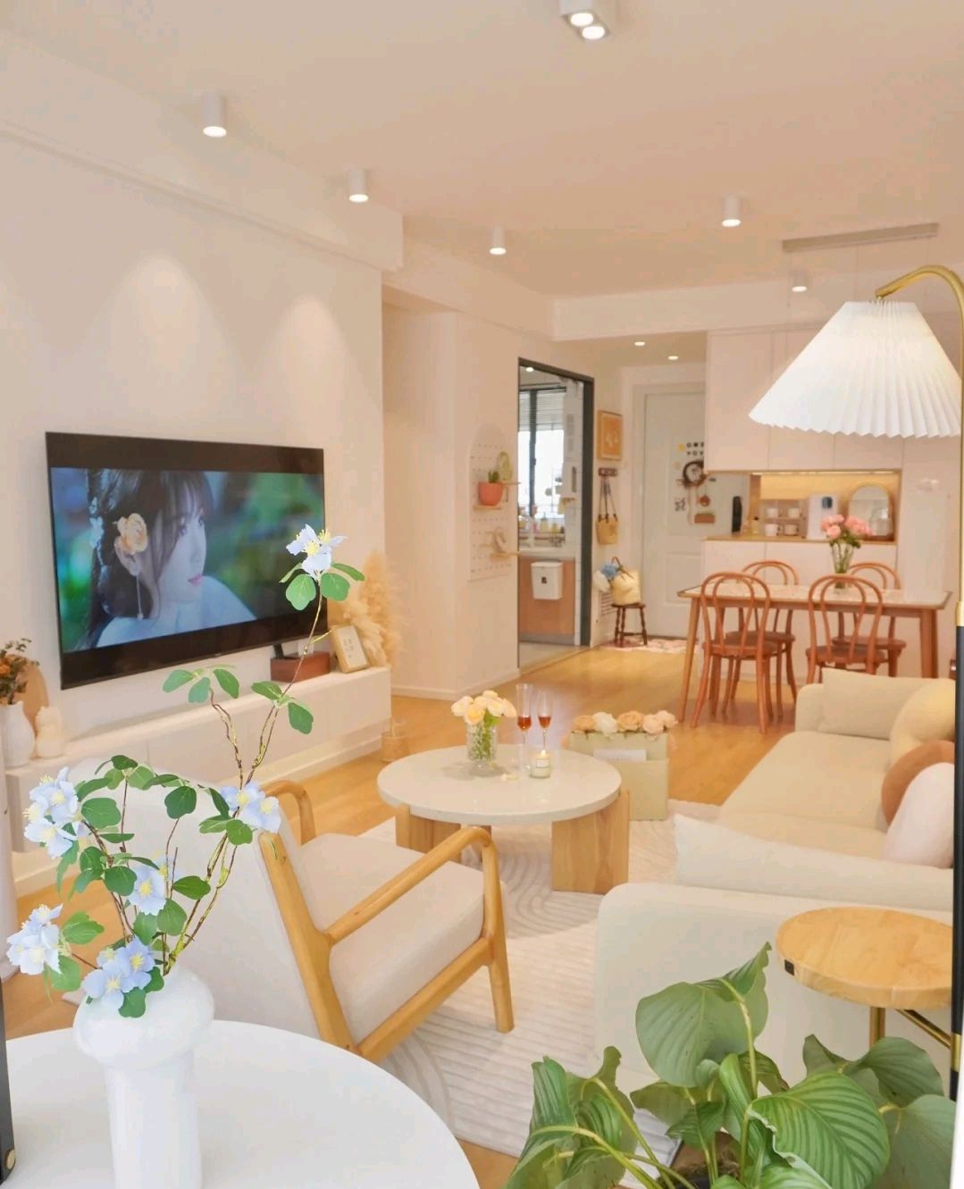 客厅适合的花草,适合客厅的花草