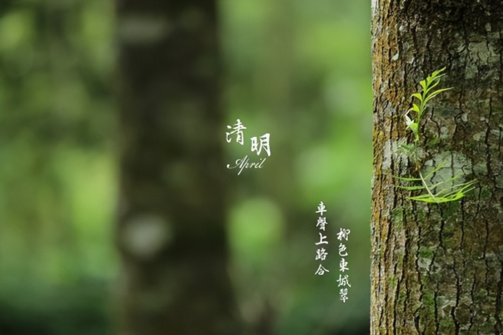 闰二月能上坟吗清明节禁忌,清明节遇上闰月能上坟吗官方说法