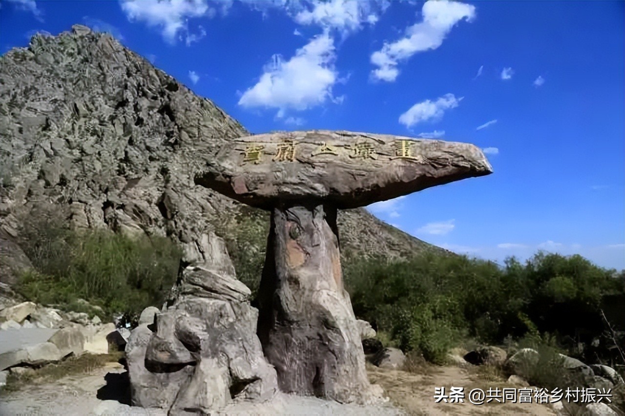 研学基地去哪里申请,研学基地申报找哪个部门