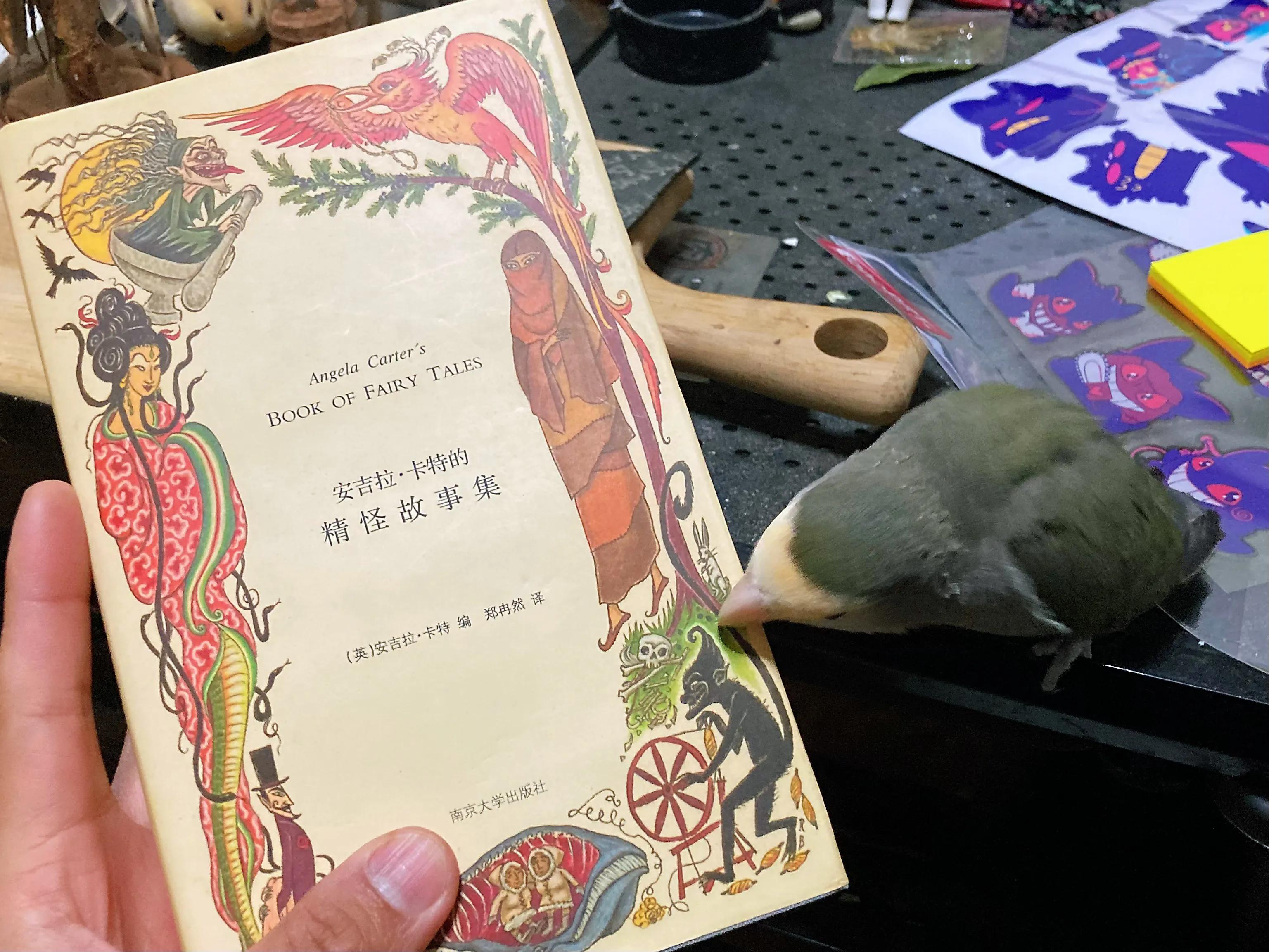 是的我们有个孩子英语,是的我们有的英语怎么说