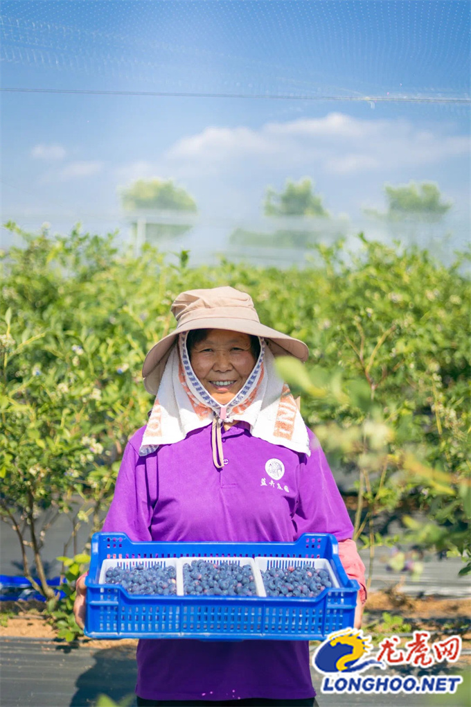 乡村振兴战略描绘美丽乡村新画卷,江宁谷里乡村田园