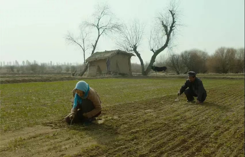 在职职工可以报考军队文职吗,在职人员可以报军队文职