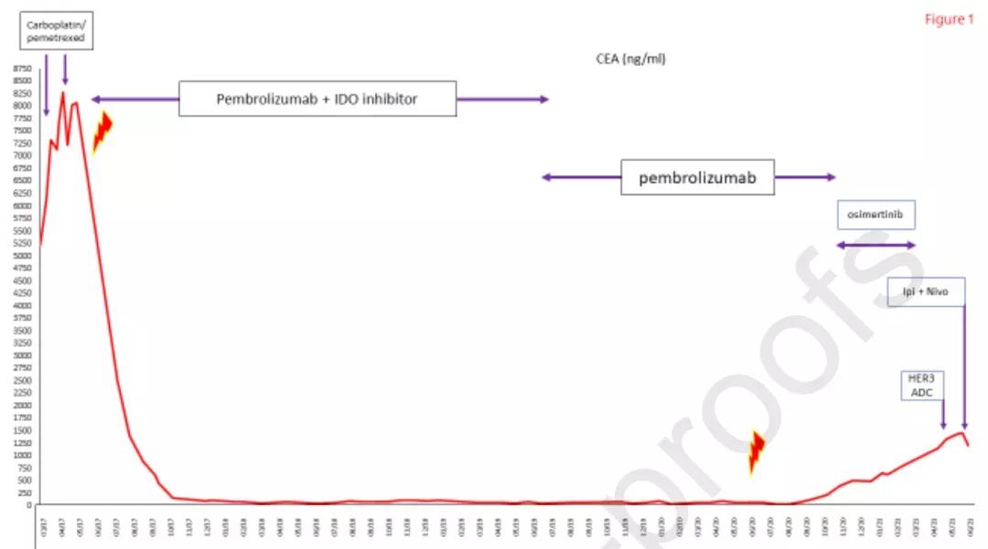 肺癌靶向药egfr,神奇的肺癌靶向药物